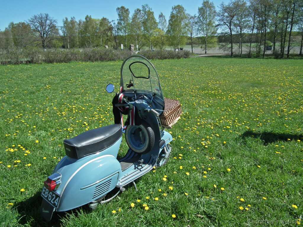 VespatNaantalissaE