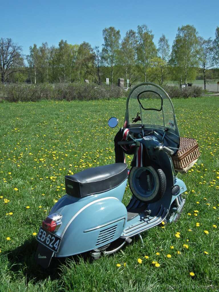 VespatNaantalissaF