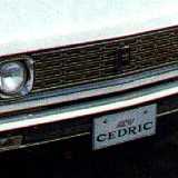 1970grille