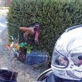 IMG_20210404_tallista210320_40tkm