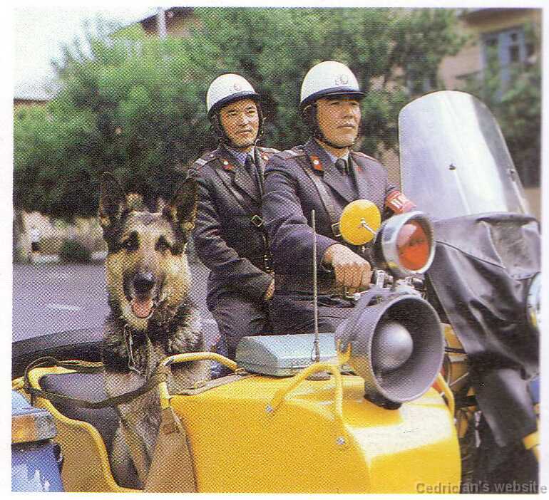 Historical 1980ies dog